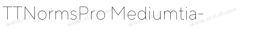 TTNormsPro Mediumtia字体转换